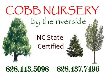 Click Here For More Information
